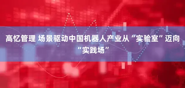 高忆管理 场景驱动中国机器人产业从“实验室”迈向“实践场”