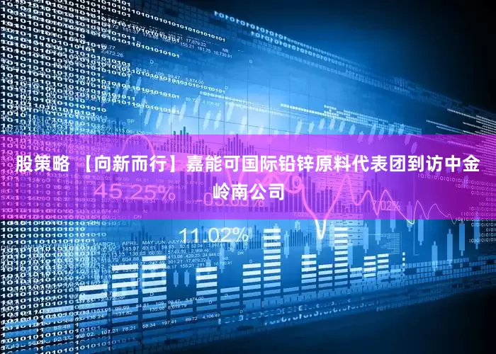 股策略 【向新而行】嘉能可国际铅锌原料代表团到访中金岭南公司