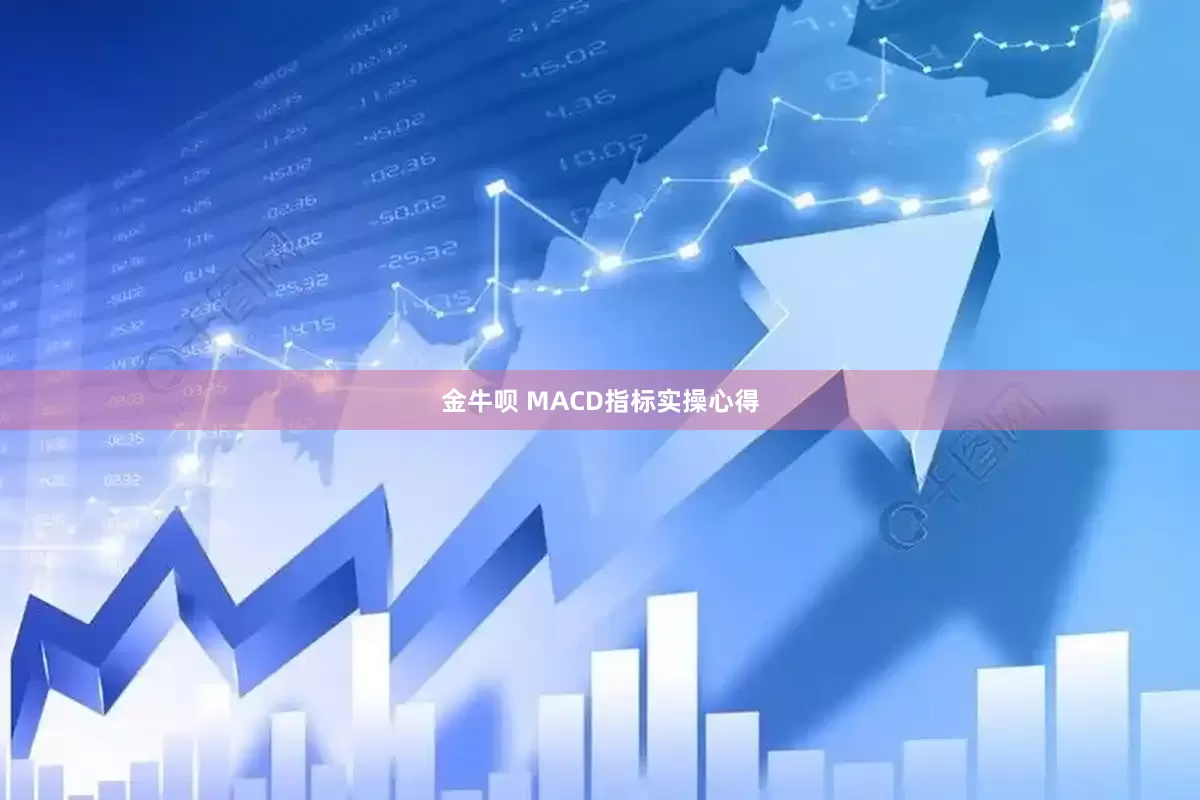 金牛呗 MACD指标实操心得