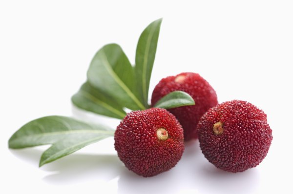 股点网 一次吃5斤，连吃2天！杭州姑娘差点“撑爆”，医生一看吓一跳：吃它有讲究